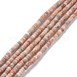 Природные netstone бисер нитей, плоско-круглые, 4x2 мм, отверстие : 1 мм, около 169 шт / нитка, 14.96'' (38 см)
