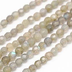 Chapelets de perles rondes en labradorite naturelle, facette, 4mm, Trou: 1mm, Environ 100 pcs/chapelet, 15.7 pouce