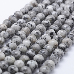 Natural Larvikite Beads Strands, Dyed, Round, Gray, 8~8.5mm, Hole: 1mm, about 47~49pcs/strand, 14.5 inch~14.9 inch(37~38cm)