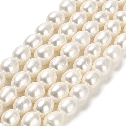 Hebras de perlas de agua dulce cultivadas naturales, arroz, grado 5 un, blanco floral, 9~10x8.5mm, agujero: 0.5 mm, aproximamente 38 pcs / cadena, 15.55 pulgada (39.5 cm)