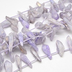 Chapelets de perles de cristal en quartz naturel, pépites, chardon, 18~35x6~14x6~12mm, Trou: 1mm, Environ 22 pcs/chapelet, 15.74 pouce