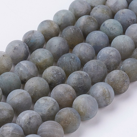 Natural Labradorite Beads Strands G-J372-01-10mm-1