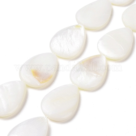 Natural Freshwater Shell Beads Strands SHEL-H001-12-1