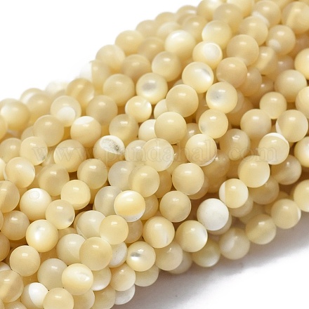 Chapelets de perles de coquillage G-A177-04-26-1