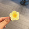 Flower Plastic Claw Hair Clips, Hair Accessories for Women & Girls, Yellow, 40x40x30mm