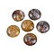 Natural Crazy Agate Cabochons, Half Round/Dome, 25x7~8mm
