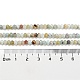 Brins de perles d'amazonite de fleurs naturelles G-F759-02-5
