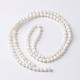 Coquille naturelle brins de perles rondes BSHE-O016-B-03-2