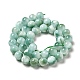 Natural Glass Beads Strands G-I247-32C-3