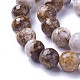 Chapelets de perles en bois pétrifié amérique naturelle G-P430-15-D-3