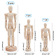 Olycraft 4pcs modello di giunzione in legno figura in legno manichino con giunti flessibili manichino umano schizzo arte disegno modello artista bambola - 8 pollici DIY-OC0002-26-2