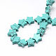 Dyed Synthetical Turquoise Beads Strands G-R302-19-2