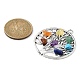 Pendenti con chip di pietre preziose miste di 7 chakra PALLOY-JF02406-01-2