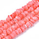 Natural Sea Shell Beads Strands SSHEL-S278-131F-1
