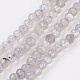 Chapelets de perles en labradorite naturelle  G-F568-090-1