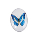 蝶のプリントオーバルガラスカボション  ホワイト  30x20x6mm X-GGLA-N003-20x30-C43-1