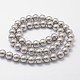 Shell Pearl Beads Strands X-BSHE-L026-05-6mm-2