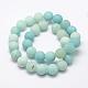 Natural Amazonite Beads Strands G-K209-03A-12mm-2