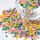 Glass Round Seed Beads SEED-S057-R-003-1