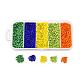6000pcs 5 colores cuentas de semillas de vidrio SEED-YW0001-15B-1