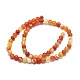 Chapelets de perles en agate à rayures naturelles/agates à bandes G-I254-03A-02-2