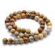 Natural Fossil Coral Beads Strands G-G763-12-10mm-5