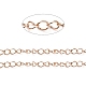 Placcatura ionica (ip) 304 catena di marciapiedi in acciaio inossidabile CHS-H031-05RG-2