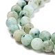 Natural Chrysocolla Beads Strands G-F612-04-8mm-3
