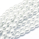 Brins de perles de riz en verre peint par pulvérisation écologiques DGLA-L001-4x7mm-48-1