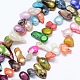 Dyed Shell Beaded Necklaces NJEW-F208-01-2