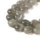Natural Labradorite Beads Strands G-M403-C09-01-4