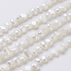 Hebras de perlas de agua dulce cultivadas naturales, perlas barrocas keshi, dos lados pulidos, blanco floral, 5~7x4~5x3~4mm, agujero: 0.3 mm, aproximamente 76~80 pcs / cadena, 14 pulgada