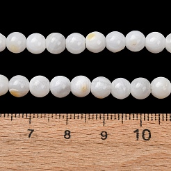 Natürlichen Süßwasser-Muschelperlen Stränge&nbsp;SH-CBA2978-07D-04