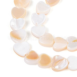 Нити бусин из натуральных пресноводных ракушек&nbsp;SHEL-N026-67A