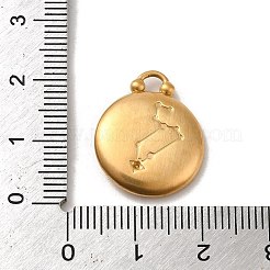 Ciondoli in acciaio inox 304&nbsp;STAS-L022-306MG-05