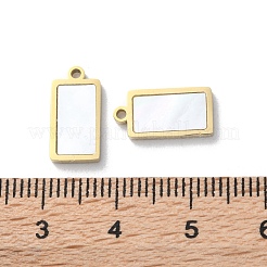 Ionenplattierung (IP) 304 Edelstahl-Anhänger&nbsp;STAS-Z099-02G-03