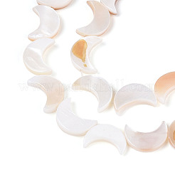 Нити бусин из натуральных пресноводных ракушек&nbsp;LS-SHEL-Q024-015B-01