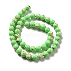 Fili di perle sintetiche turchesi e conchiglie montate&nbsp;G-D482-01C-02