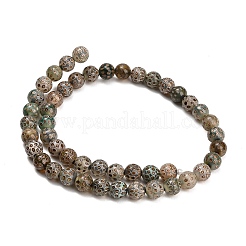 Stile tibetano perline dzi fili&nbsp;GG-NH0001-A03-8MM