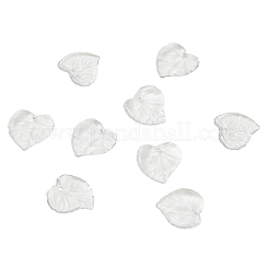 Прозрачные акриловые подвески&nbsp;TACR-TA0001-01