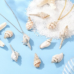 5 шт. подвески из натуральных спиральных ракушек с гальваническим покрытием&nbsp;BSHE-YW0001-09