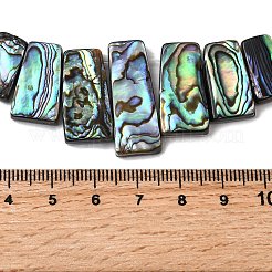 Naturelles Paua brins de perles&nbsp;BSHE-S305-01A