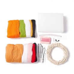 Kit de feutrage à l'aiguille bricolage&nbsp;DIY-D067-02P