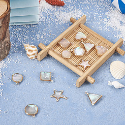 12шт 6 стиля подвески из натуральных ракушек&nbsp;BSHE-TA0002-06