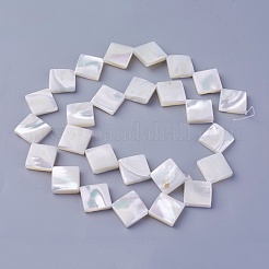 Naturali di mare shell perle fili&nbsp;SSHEL-E571-21