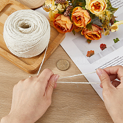 100 m de corde de jute&nbsp;OCOR-SP0001-35C
