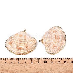 Подвески из натуральной морской раковины&nbsp;SSHEL-N038-16