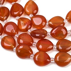 Природного сердолика нитей бисера&nbsp;G-K393-E02-10x12