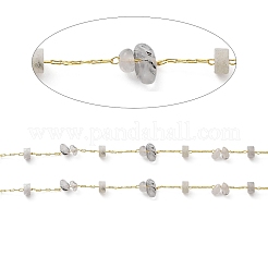 Scaglie di pietra miste naturali e catene con perline a disco&nbsp;CHC-C001-02G