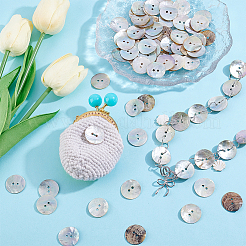 100 Stück natürliche Akoya-Muschelknöpfe&nbsp;BUTT-PH0001-41B